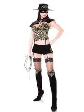 Rare Vintage Y2K Playboy Costume Collection — "Masked Bandit" Set